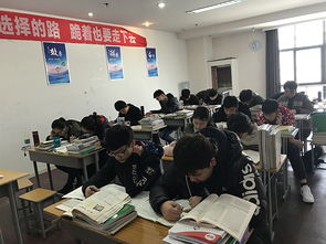 艺术生高考文化课辅导哪个提分快？一篇讲透文化课提升策略